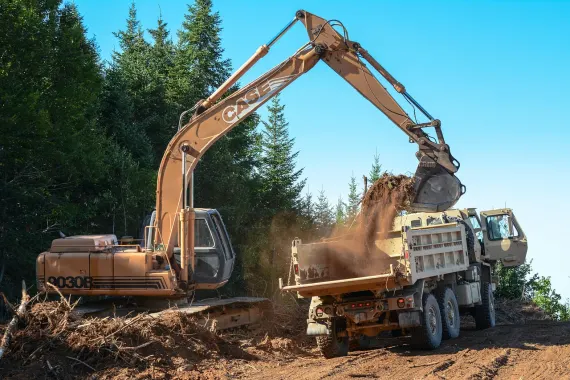 Casino Bonkers Bet Tacaíocht